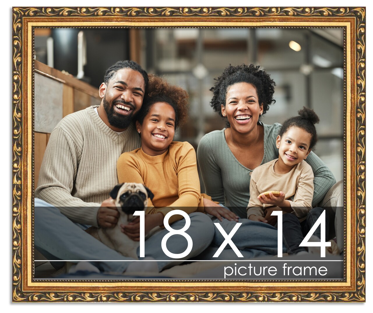 18x14 Solid Wood Antique Picture Frame with UV-Resistant Acrylic & Acid-Free Backing, Available in 4 Finishes: Bronze, Gold, Silver, and Gold with Black